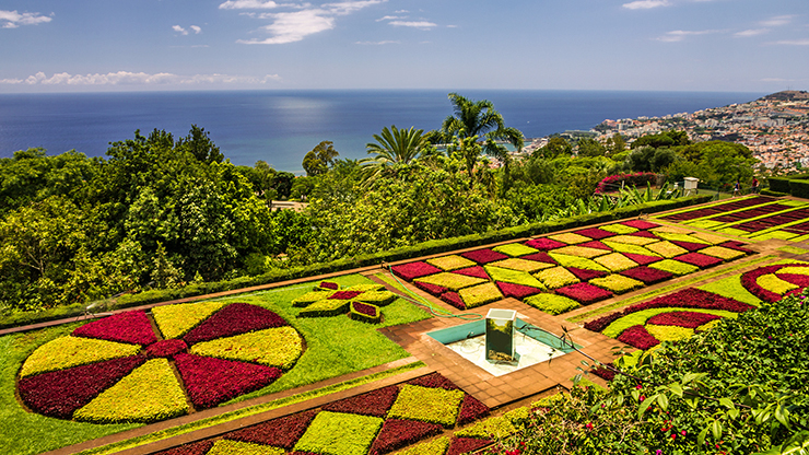 De kleurrijke tuinen in hoofdstad Funchal