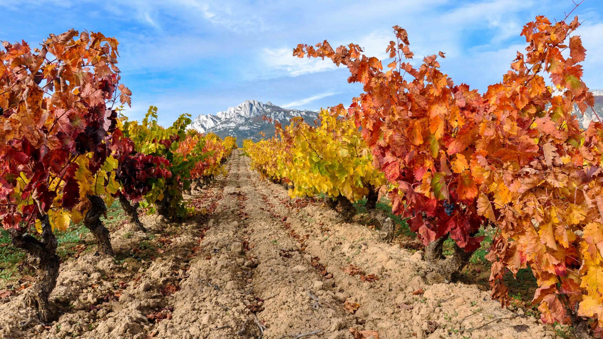 Spanje wijnstreken Rioja