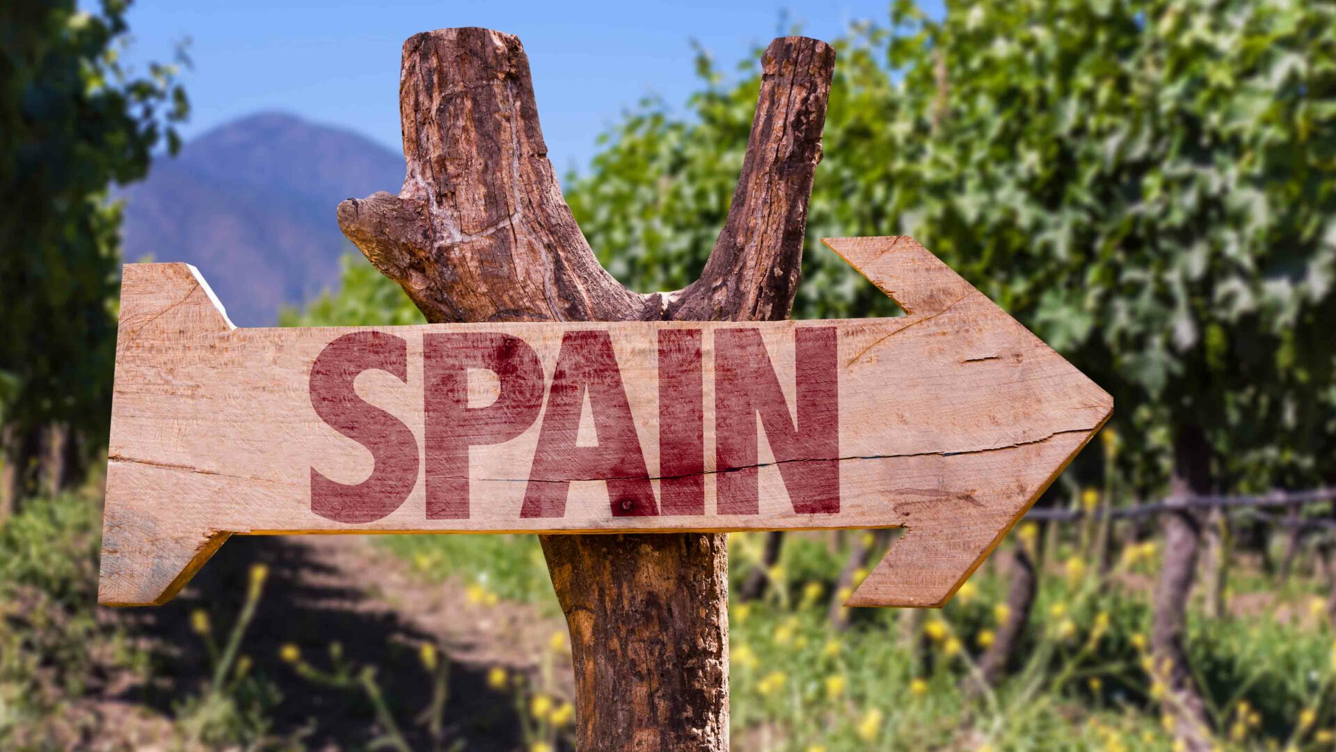 Spanje wijnstreken Valdepeñas