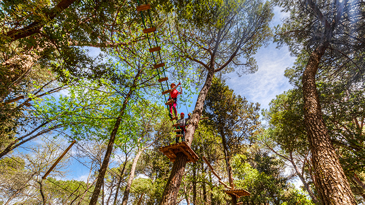 Kinderen die aan het klimmen zijn in klimpark Nebrodi Adventure Park