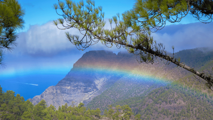 Tamadaba gran canaria